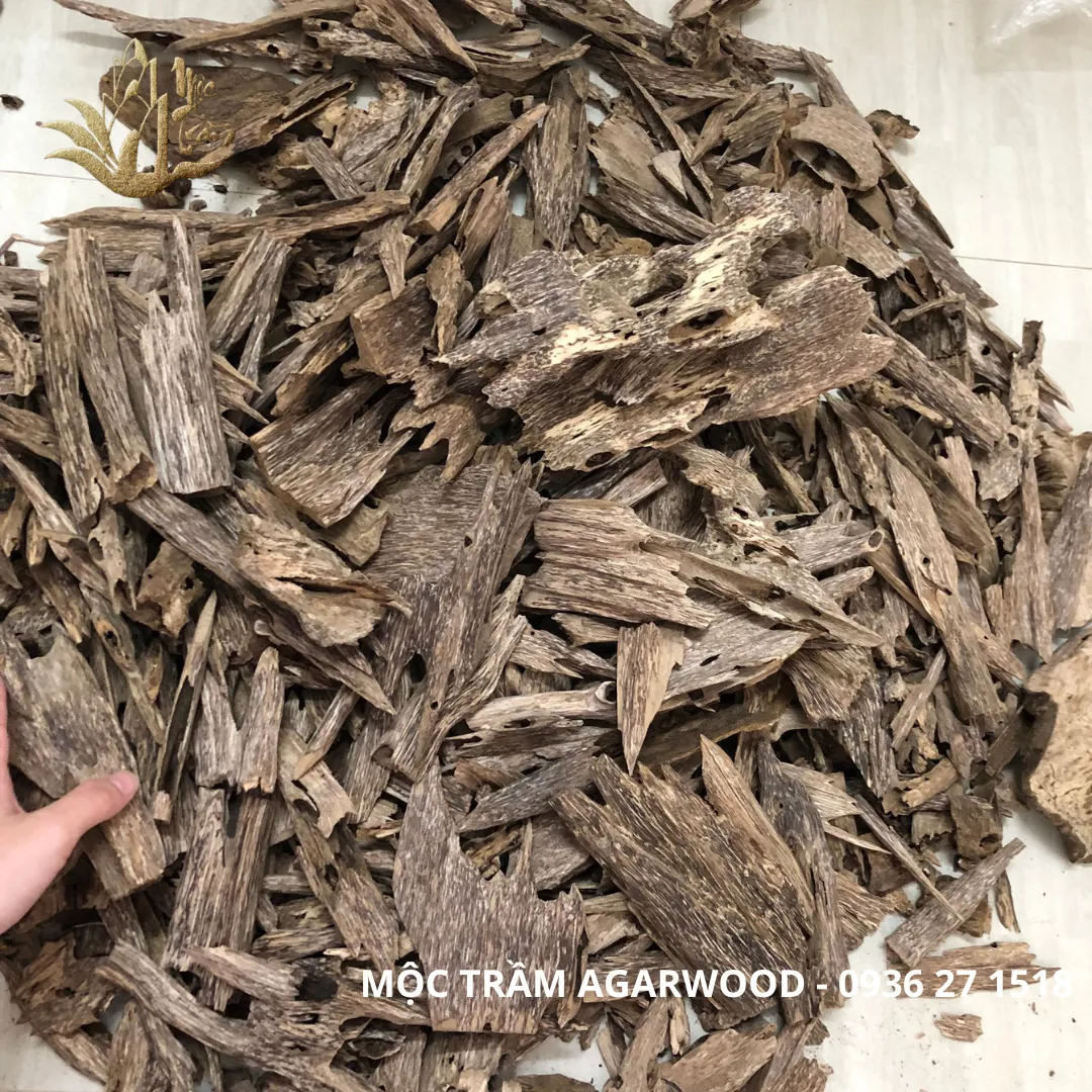 Natural Agarwood Chips – “Kien Xi” Vietnamese Wild Oud (Multi-Weight Options)